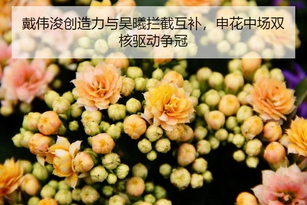 戴伟浚创造力与吴曦拦截互补，申花中场双核驱动争冠